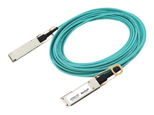 CISCO SFP-25G-AOC3M InfiniBand/fiber optic cable, 3