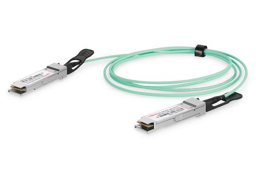 Digitus QSFP28 to QSFP28 100G 10.0m blue