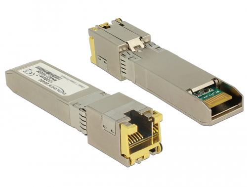 Delock SFP Module SFP+ - 10GBase-T