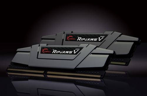 G.SKILL Ripjaws V memory module