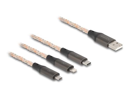 Delock USB RGB Charging Cable 3
