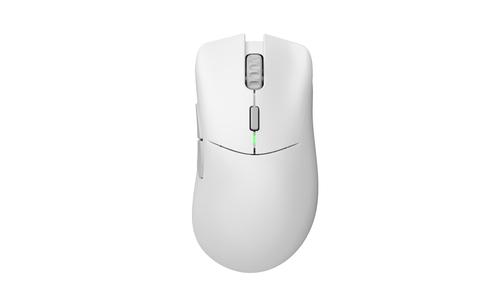 Glorious Gaming Glorious Model D 2