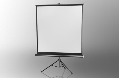 Celexon Economy Pull-Up Screen 133 x 133 cm - White Edition