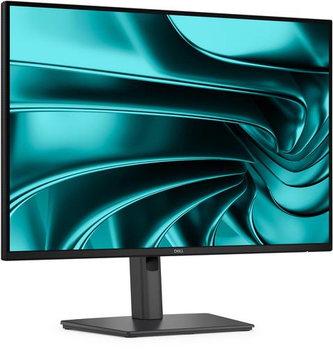 DELL Pro Plus 24 - P2426E