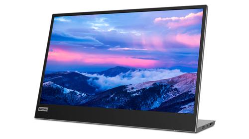 LENOVO Monitor 66E4UAC1WL / 66E4UAC Black, grey 39.6 cm (15.6")