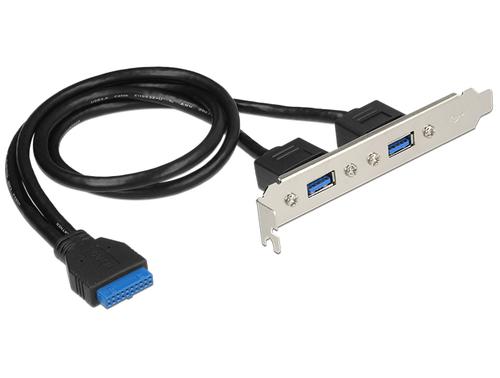 Delock Slot panel 1 x 19