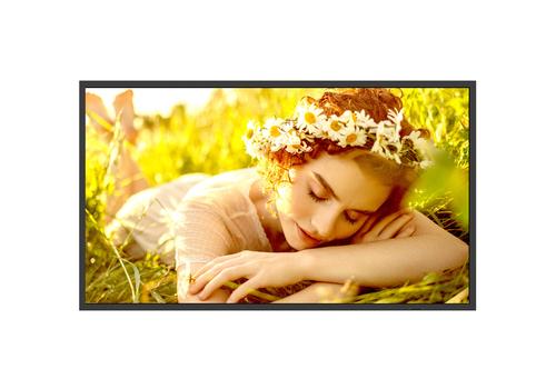 LG 32UL5Q-M Signage Display Digital signage
