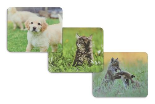 Hama Animal Multicolour