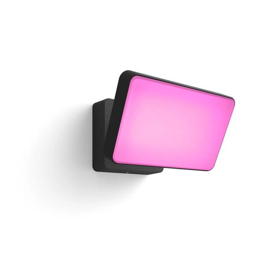 Philips by Signify Philips Hue White and Color Ambiance Discover Outdoor Floodlight