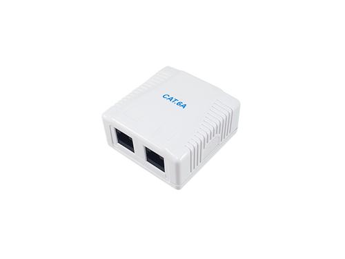 Equip Cat6A surface mount box 2-Port 2x RJ45 UTP RAL 9010 ws poly bag