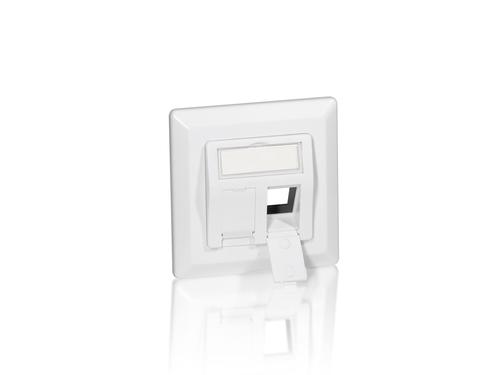 Equip Front plate 2x Keystone Jack 45° RAL9010 polybag
