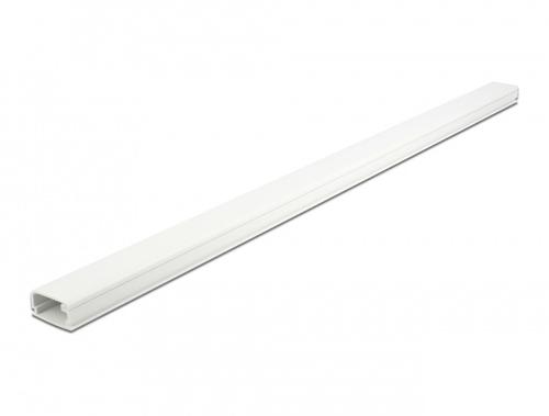 Delock Self-adhesive cable channel with lid, 26x13mm, 1m long, white
