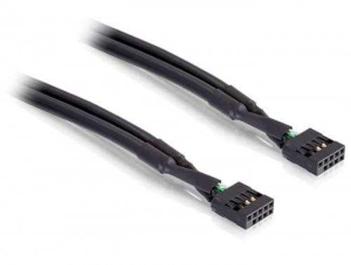 Delock USB Cable Pinheader 10Pin - 10Pin Bu/Bu 0.50m